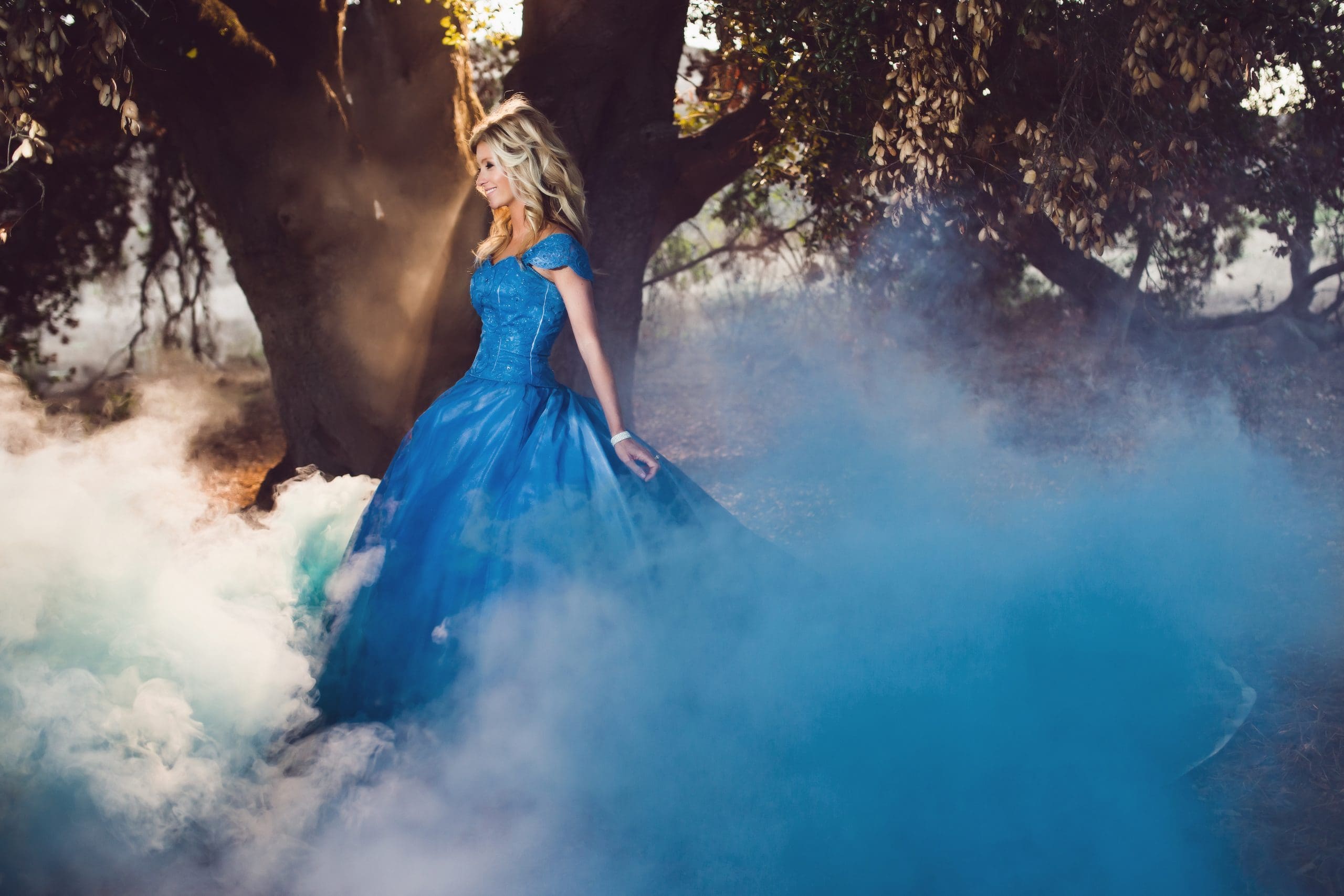 One Glass Slipper|Meg Wallace