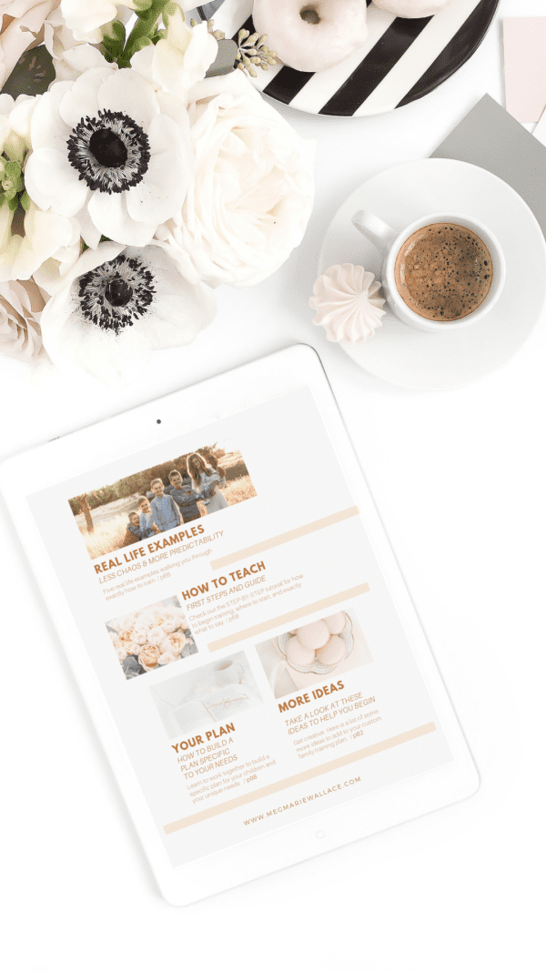 with all joy ebook | meg Marie Wallace | parenting ebook