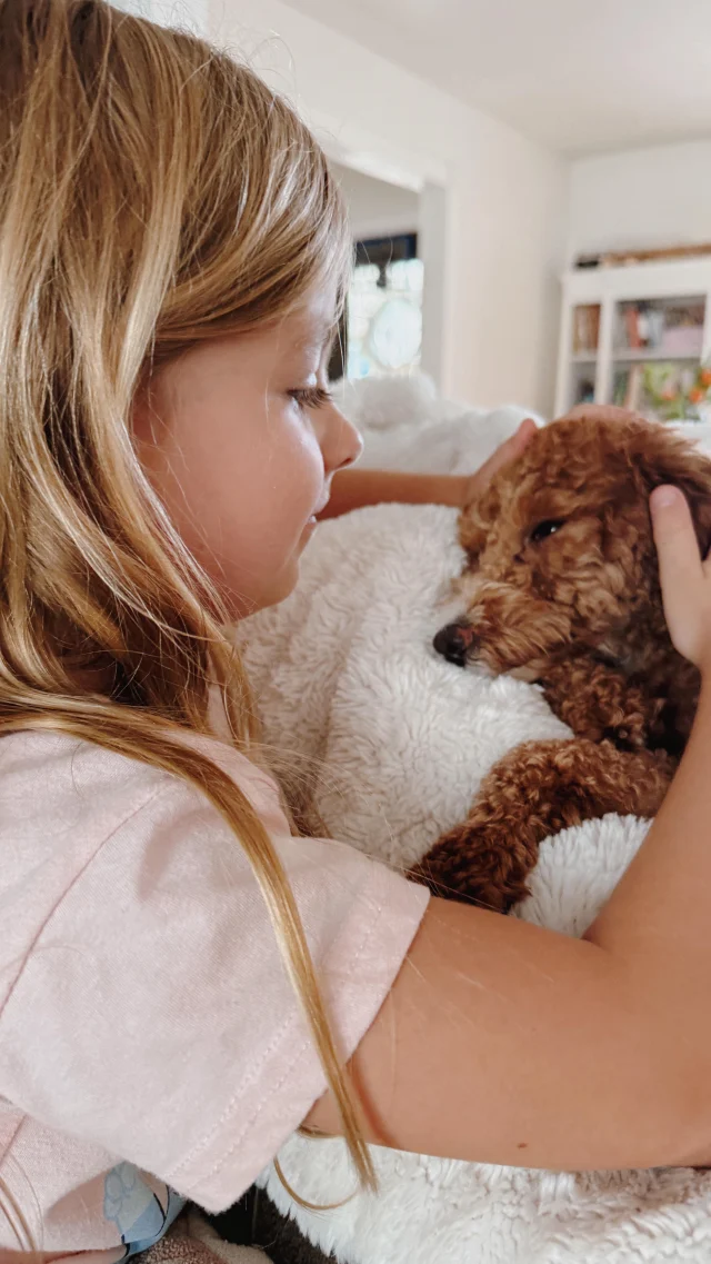 Sunday mood: What do you do for a living?!

 @thepuppy.lodge
