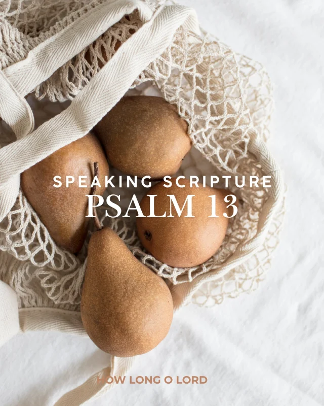 I know the ache that comes with waiting—⁠
when you keep praying⁠
and it feels like heaven isn’t answering.⁠
⁠
When you lie awake,⁠
your thoughts won’t settle,⁠
and your heart feels worn thin.⁠
⁠
But listen…⁠
you can still cry out to Him.⁠
You can ask Him to see you,⁠
to lift your head,⁠
to bring light back to your eyes again.⁠
⁠
Even here,⁠
you can trust His unfailing love.⁠
You can believe that He will be good to you again.⁠
You will sing.⁠
You will rejoice in His salvation.⁠
⁠
Joy is still coming—⁠
yes the pain is enormous, ⁠
but He is who He’s always been.⁠
⁠
Hold on, friend.⁠
You are NOT forgotten.⁠
He hears you. He is with you.⁠
⁠
And one day soon you’ll look back and say,⁠
“The Lord has been good to me.”